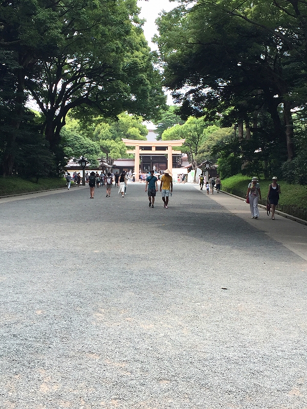 明治神宮と日本の森.jpg