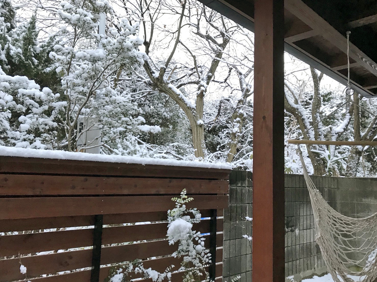 宝塚の森と暮らす木の家の雪景色.JPG