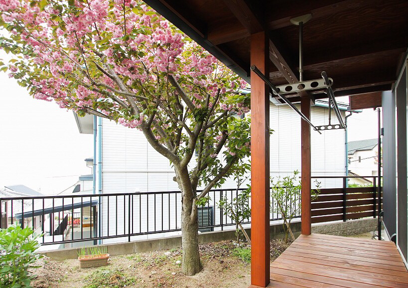 宝塚市の工務店が建てる平屋の木の家_八重桜が満開