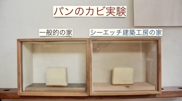 pan_kabi_kinoie_myhome_ch_taka